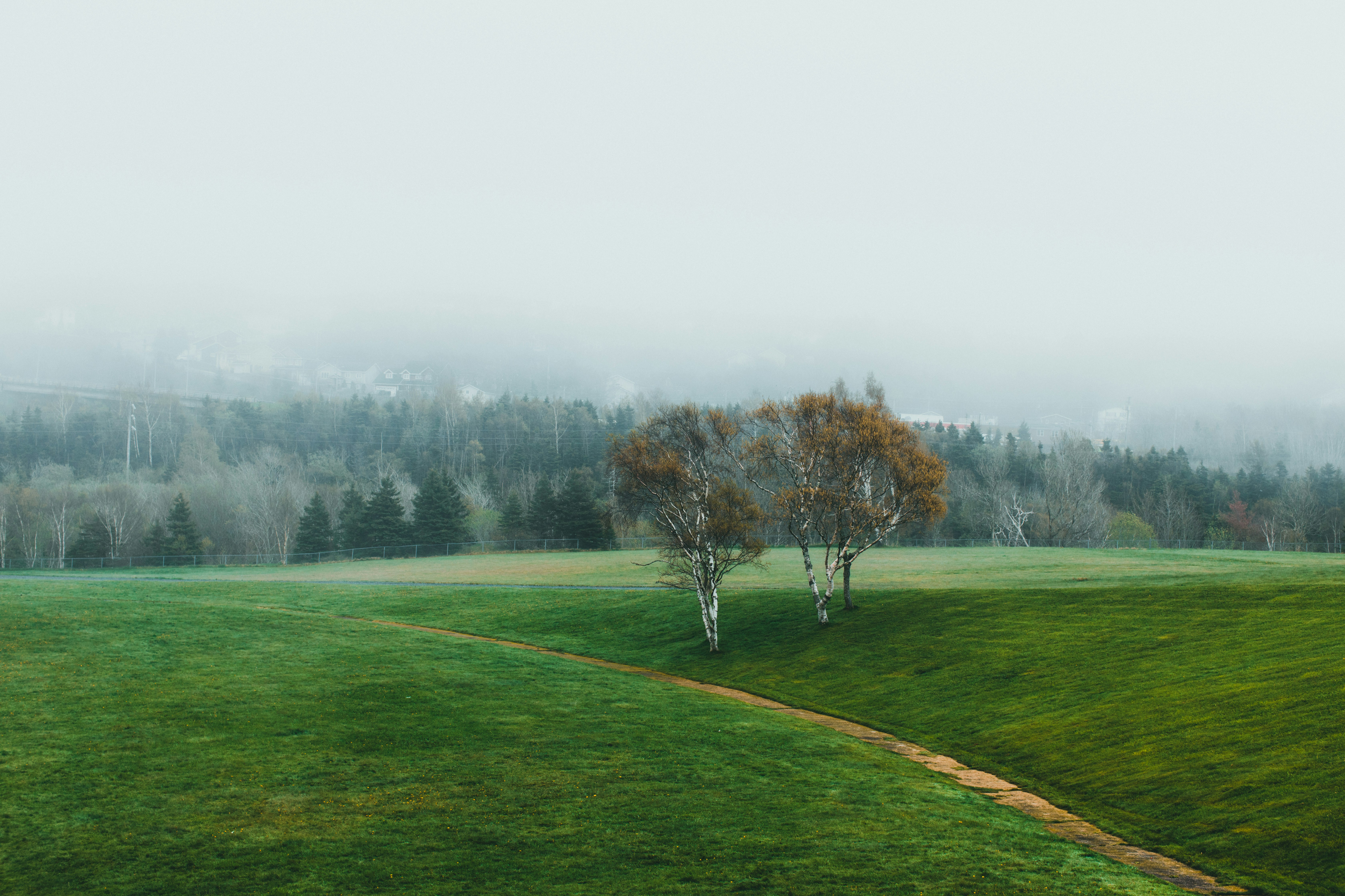 Photo by theshuttervision