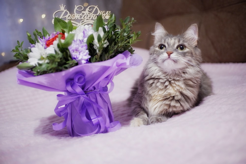 a cat sitting next to a bouquet of flowers