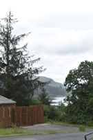 A serene landscape featuring a mix of tall, lush evergreen trees and deciduous trees with dense foliage. In the foreground, there's a wooden fence next to a small building with a gray roof. A winding body of water can be seen in the distance, surrounded by rolling hills covered with greenery. The sky is overcast with a layer of clouds.