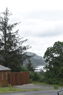 A serene landscape featuring a mix of tall, lush evergreen trees and deciduous trees with dense foliage. In the foreground, there's a wooden fence next to a small building with a gray roof. A winding body of water can be seen in the distance, surrounded by rolling hills covered with greenery. The sky is overcast with a layer of clouds.