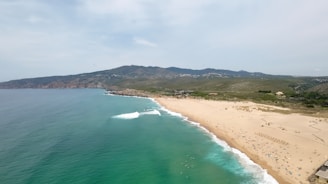 A breathtaking view of a Hawaiian beach with turquoise waters and golden sand.