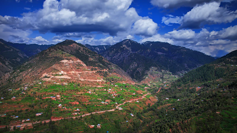 Top Local Restaurants in Kausani Every Food Lover Needs to Know