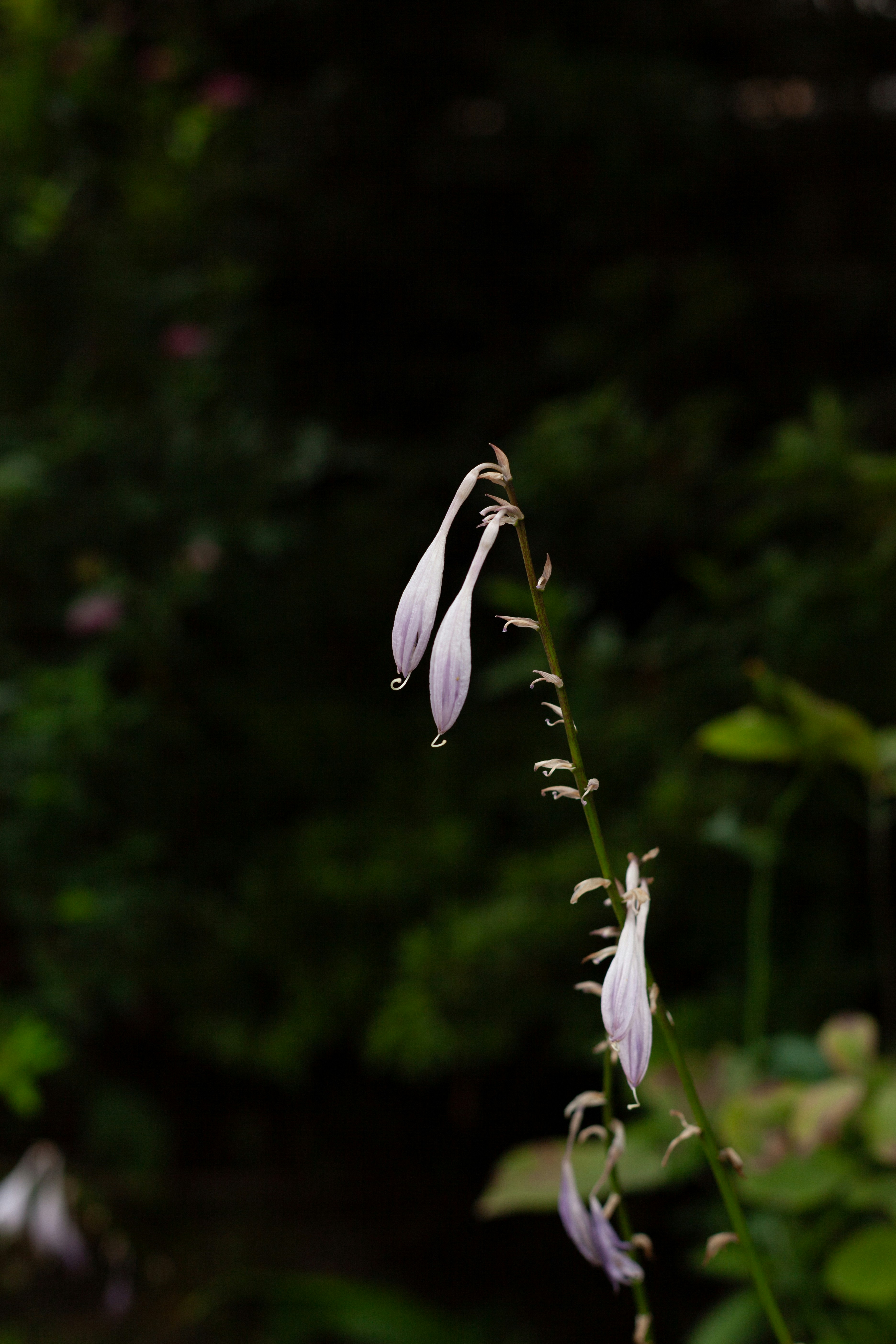 Photo by takatsuchida