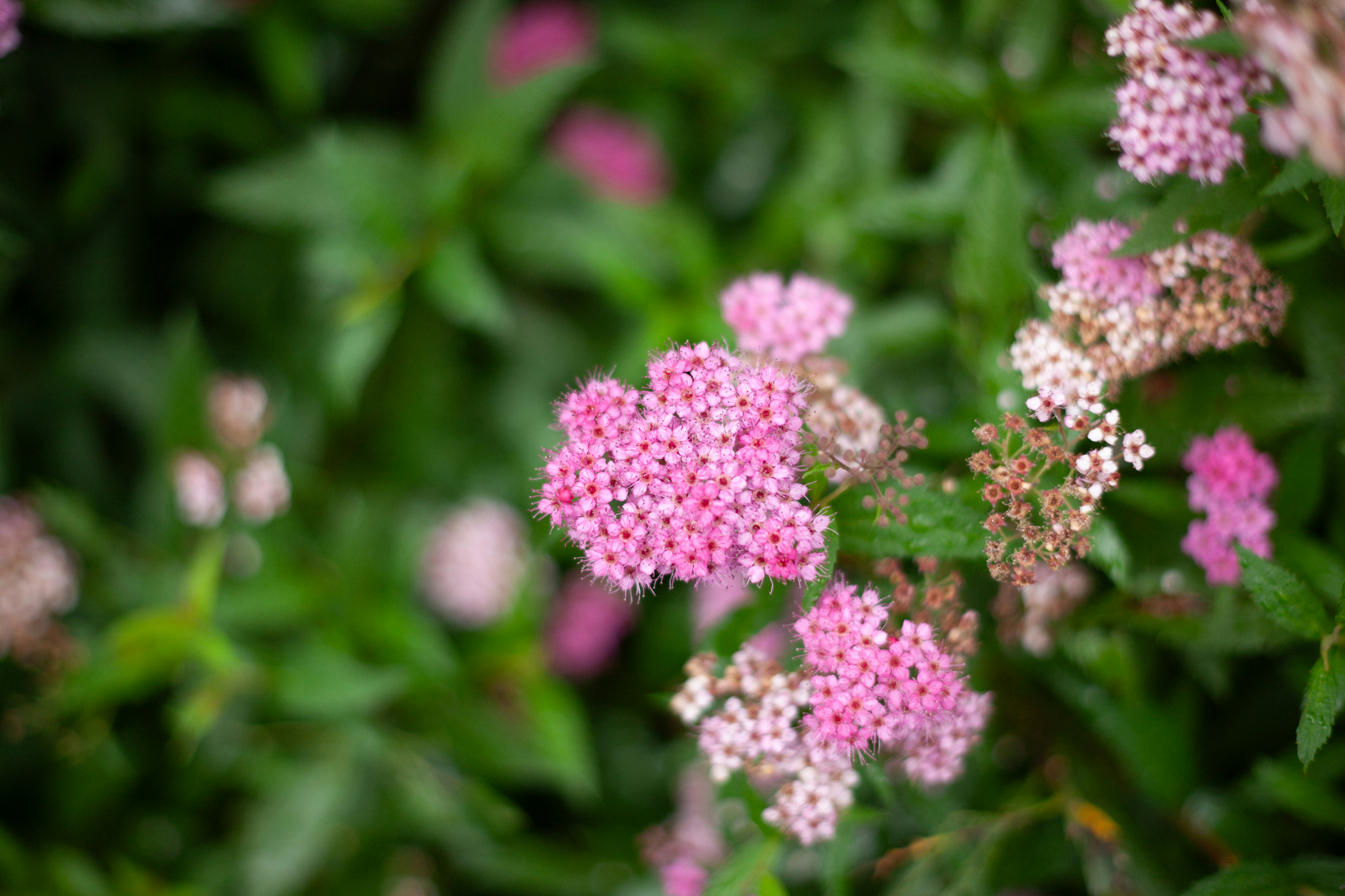 Photo by takatsuchida