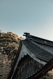 The picture features a traditional roof with ornate wooden carvings, set against a clear sky. In the background, dense foliage of trees is visible, creating a harmonious blend of architecture and nature.