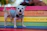 A small dog wearing a colorful handmade dress, sitting happily on a sunny garden bench.