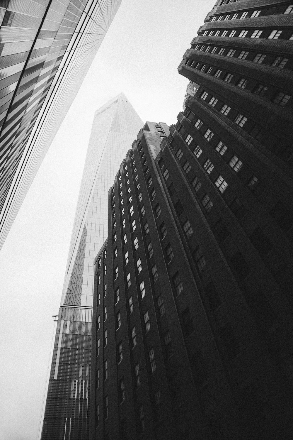 a black and white photo of tall buildings