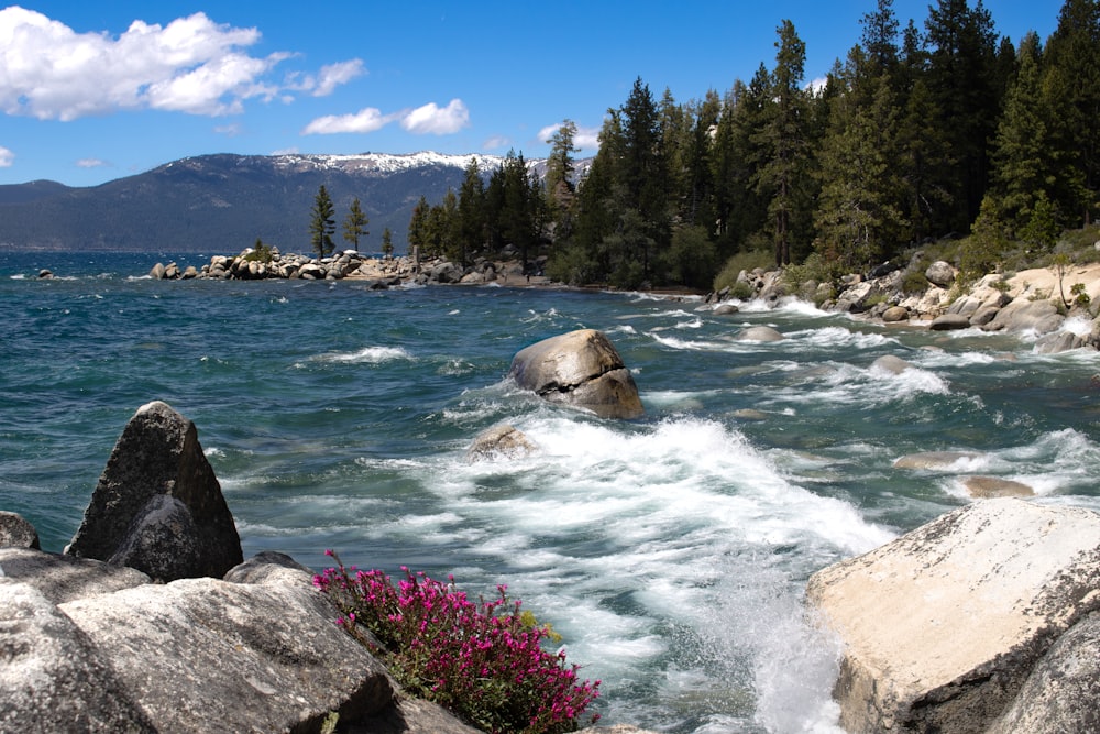 a body of water surrounded by rocks and trees