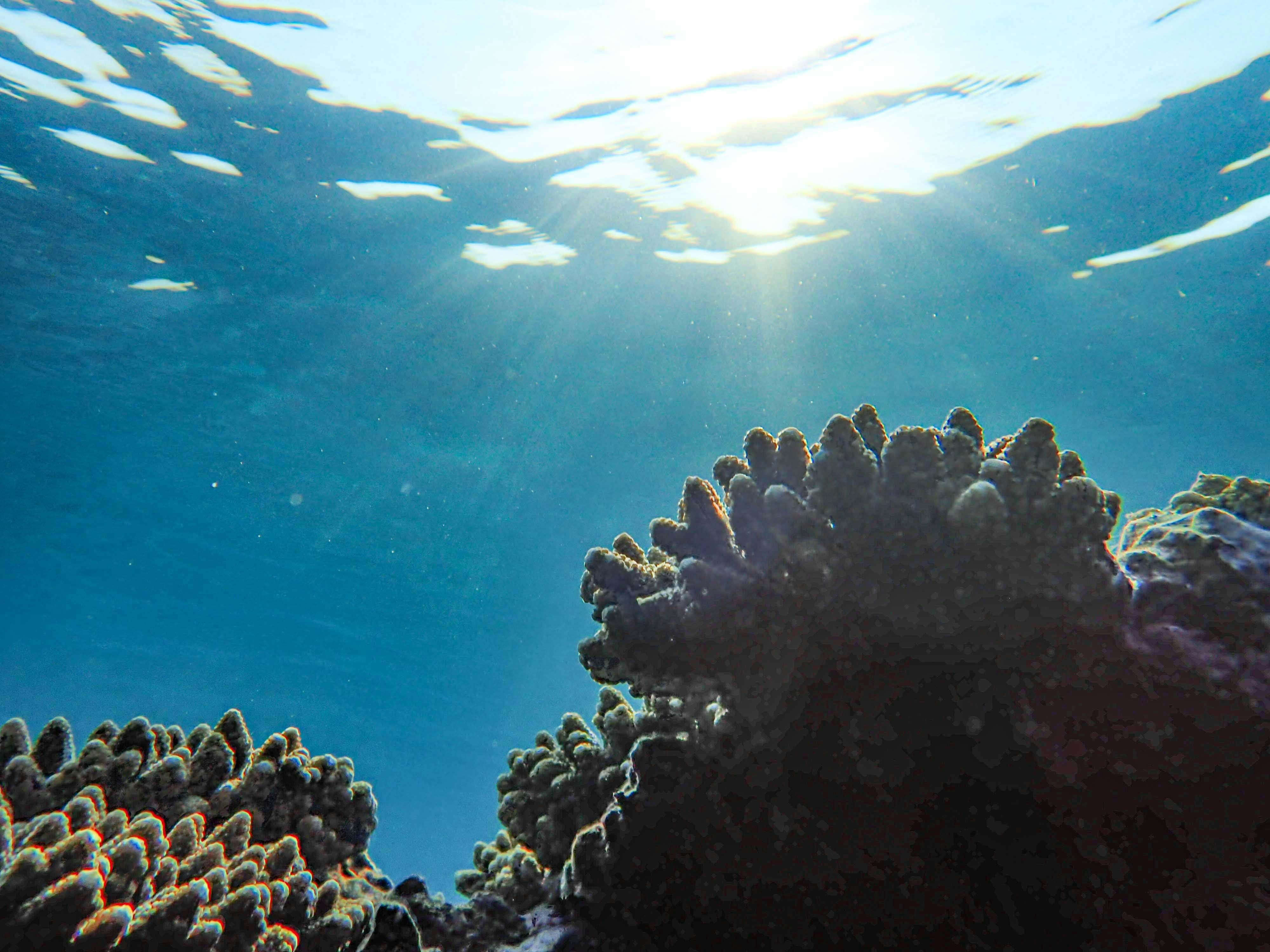 Photo by francesco_ungaro