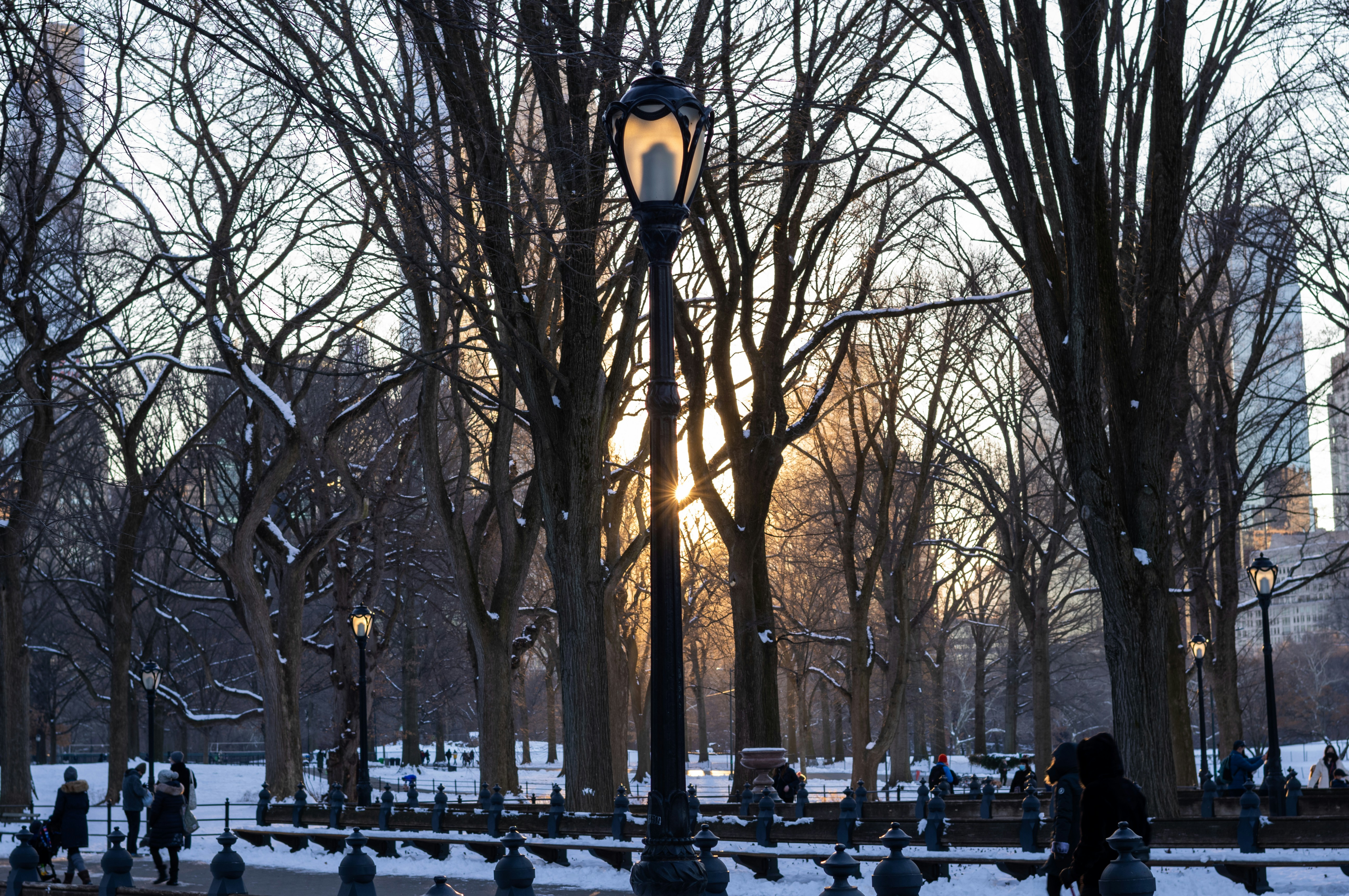 uma luz de rua no meio de um parque nevado