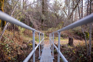 A narrow wooden walkway crossing a bubbling mountain brook in a European forest valley during early autumn.