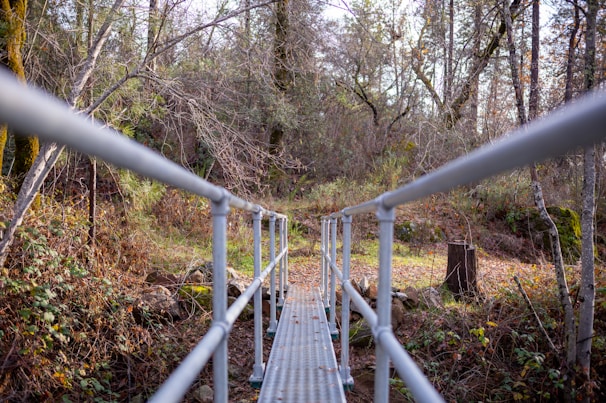 A narrow wooden walkway crossing a bubbling mountain brook in a European forest valley during early autumn.