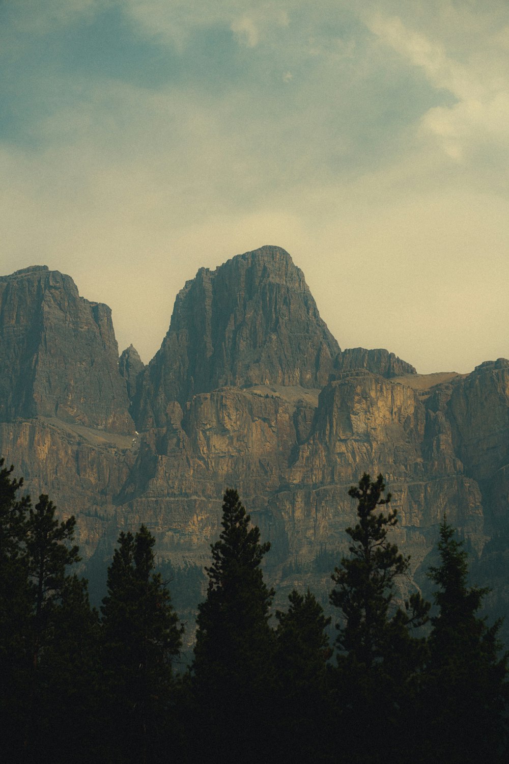 a view of a mountain range with trees in the foreground