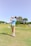 A group of golfers enjoying a sunny day on the course, smiling and interacting.