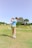 A group of friends enjoying a round of golf on a sunny day.