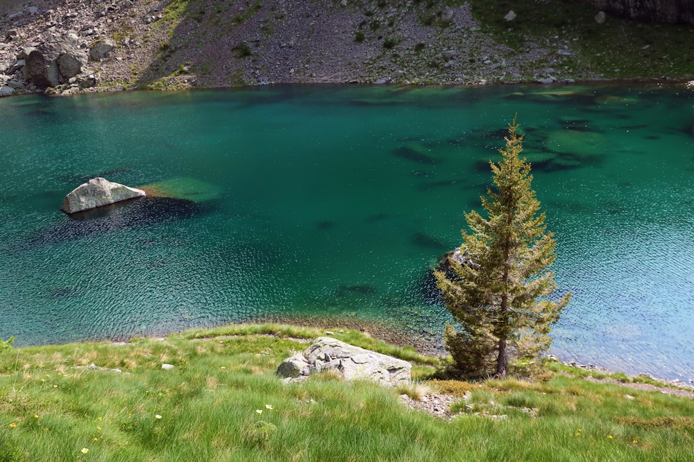 a large body of water surrounded by a lush green hillside