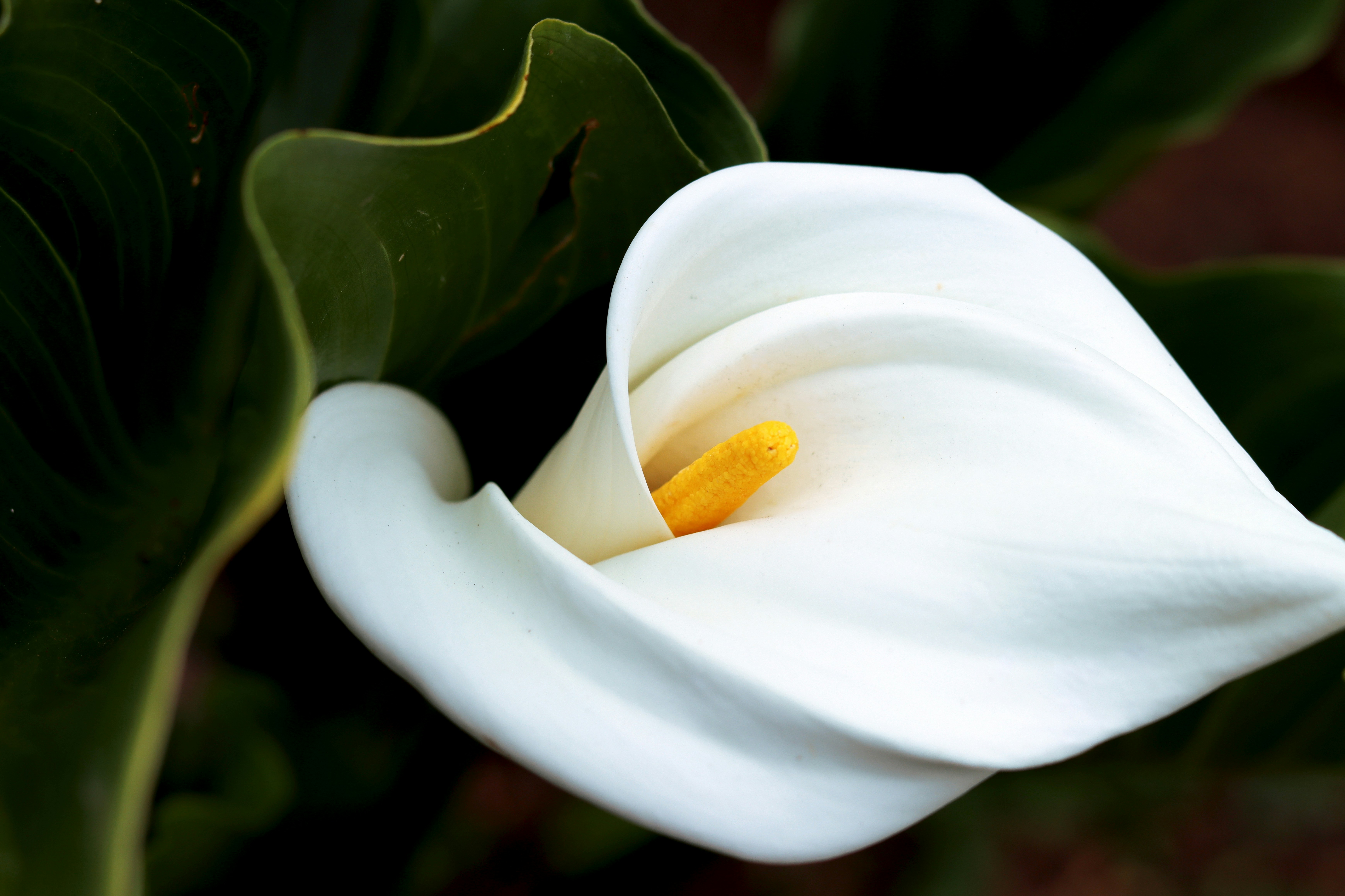 Photo by carolinagrants