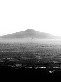 A black and white landscape photograph featuring a vast, textured body of water in the foreground and a distant, looming mountain in the background. A solitary bird flies in the middle, adding a sense of movement to the otherwise still scene.