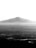 A black and white landscape photograph featuring a vast, textured body of water in the foreground and a distant, looming mountain in the background. A solitary bird flies in the middle, adding a sense of movement to the otherwise still scene.