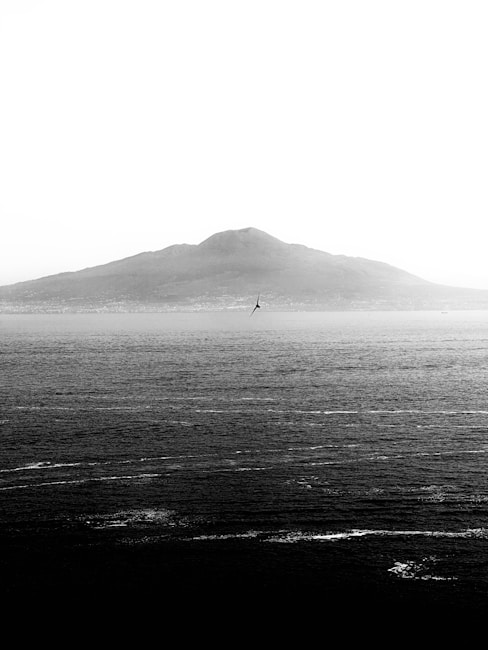 A black and white landscape photograph featuring a vast, textured body of water in the foreground and a distant, looming mountain in the background. A solitary bird flies in the middle, adding a sense of movement to the otherwise still scene.