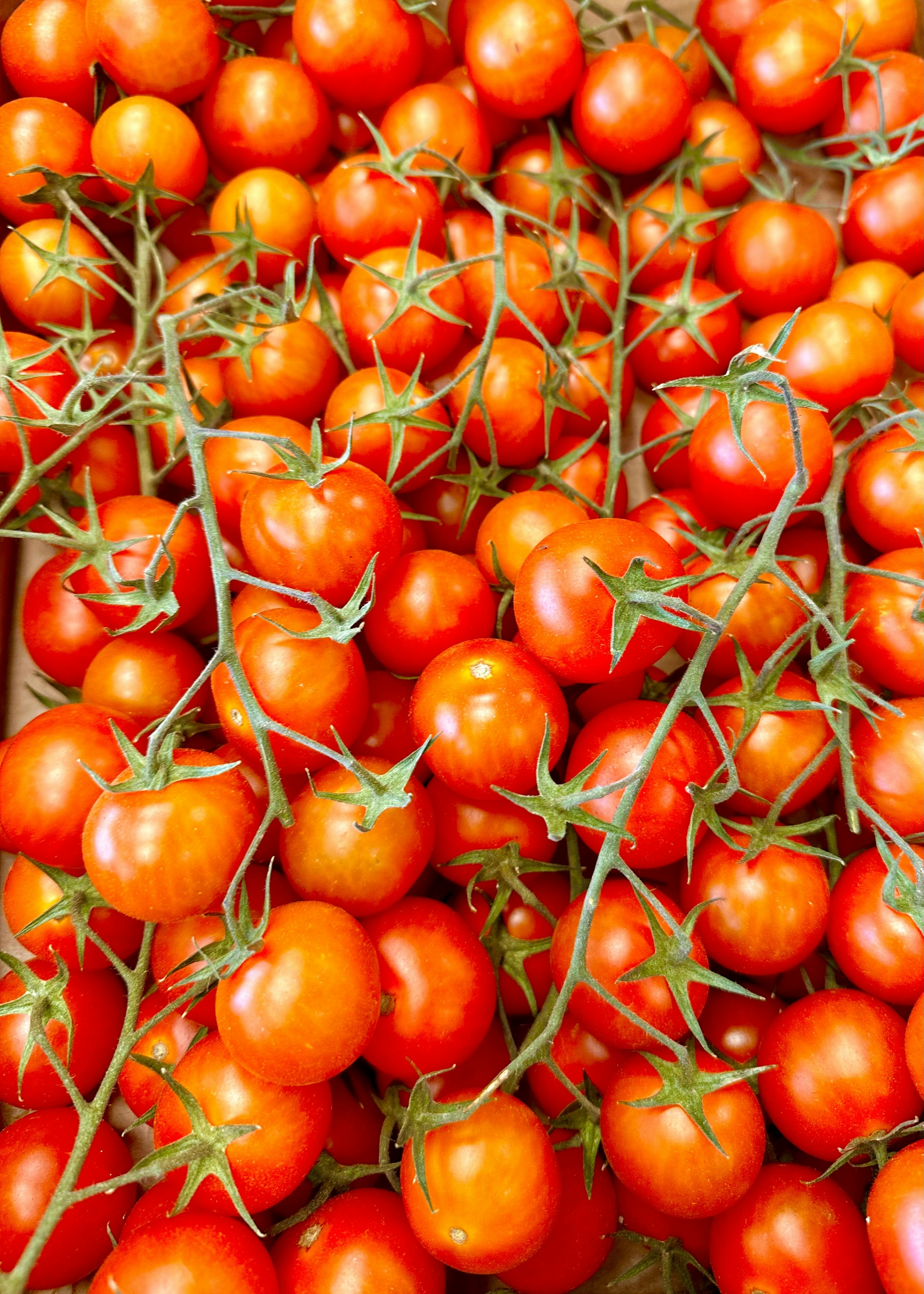 Photo by jordanfer98