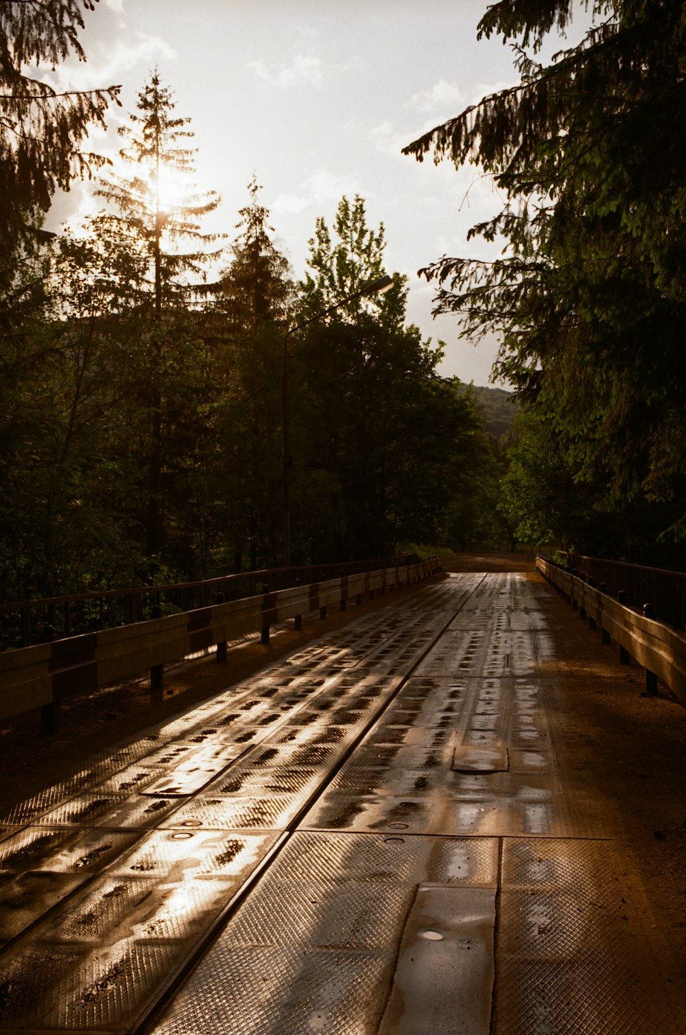 the sun shines through the trees on a bridge
