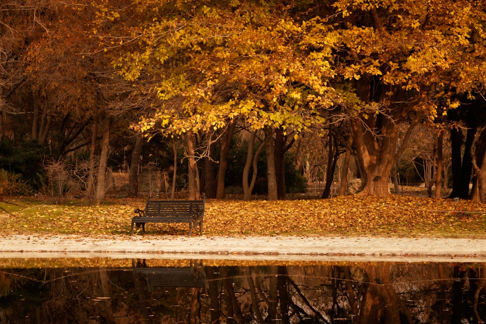 a park bench sitting in front of a lake surrounded by trees