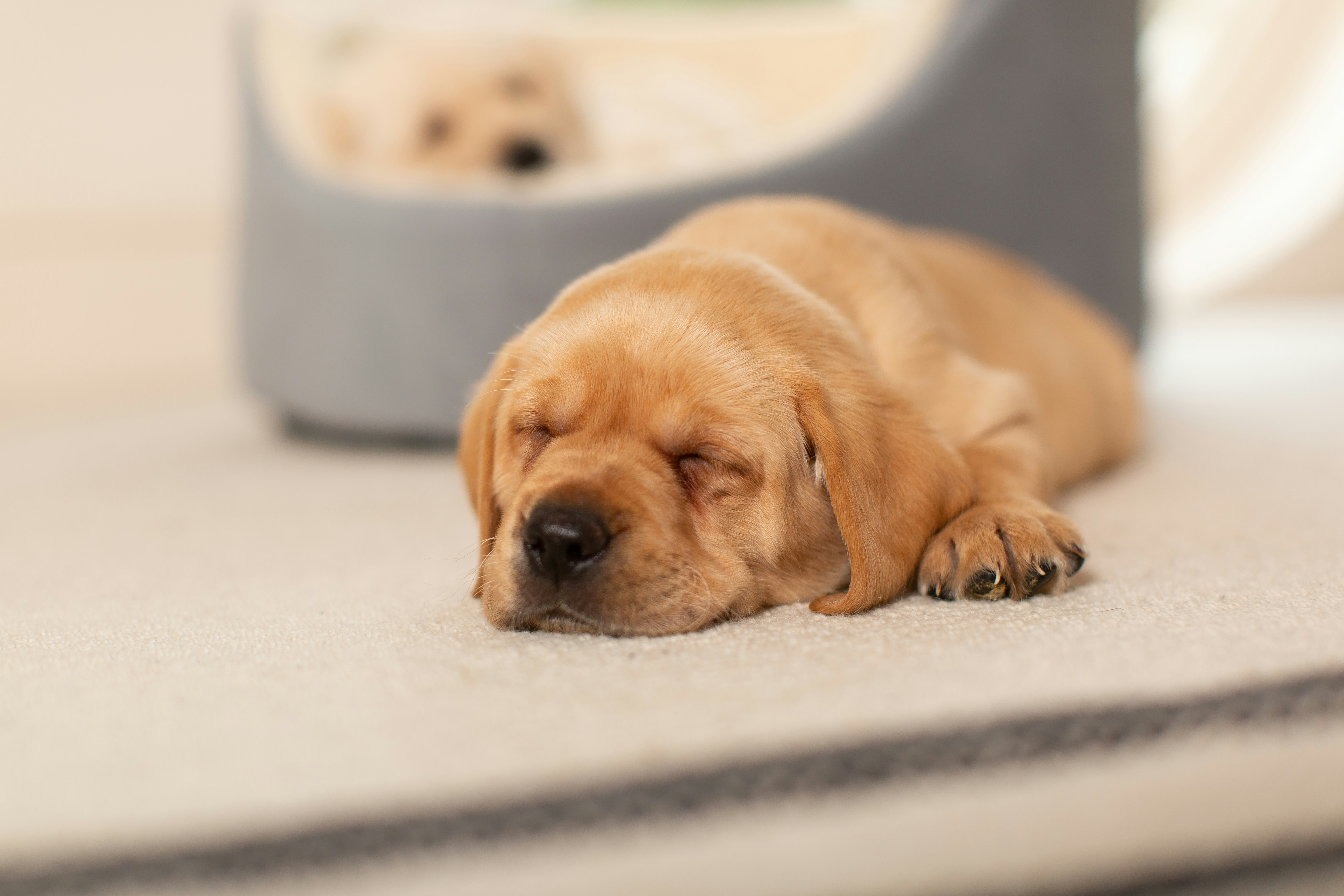 Photo by domheartley