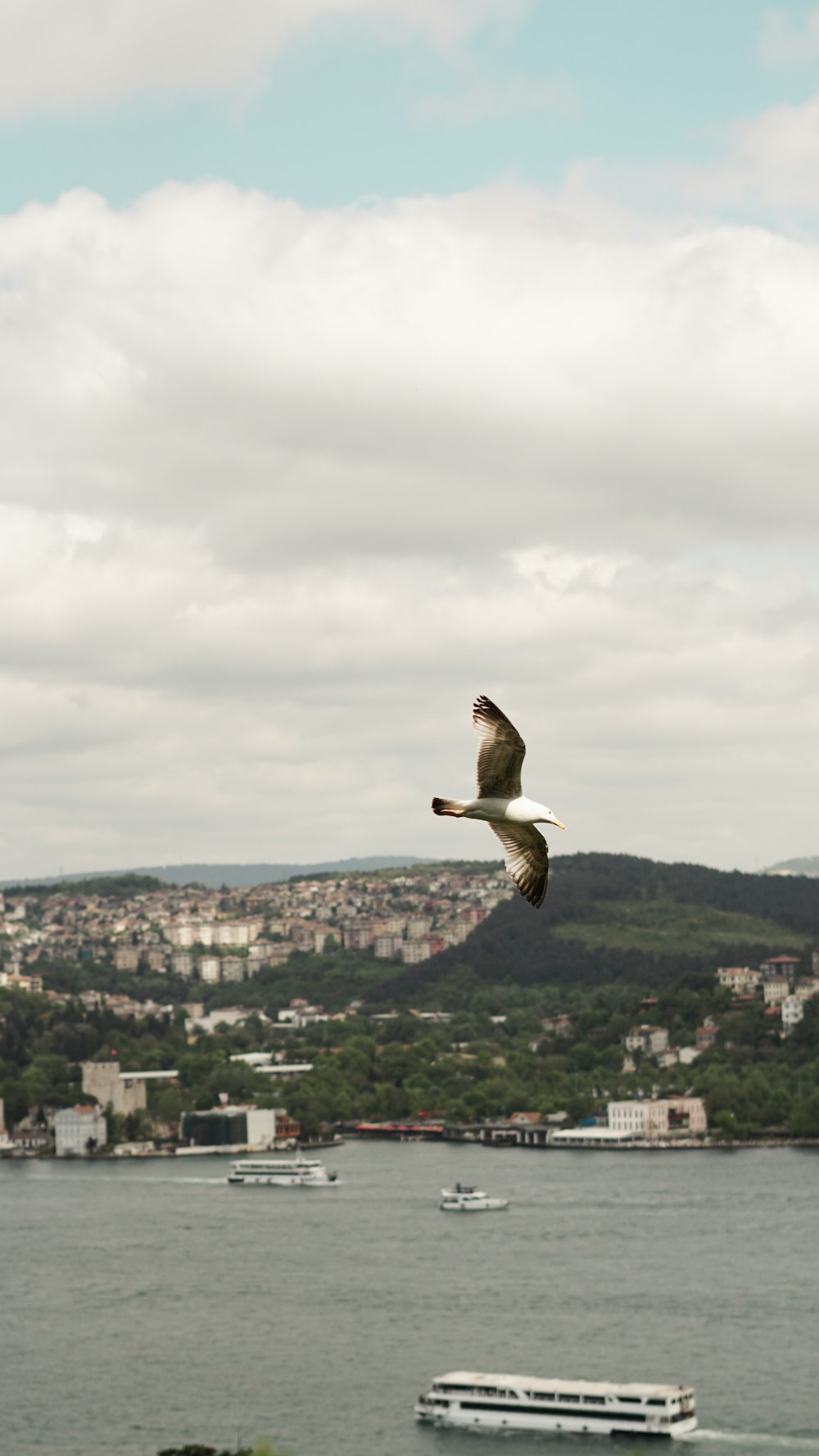 a bird flying over a body of water