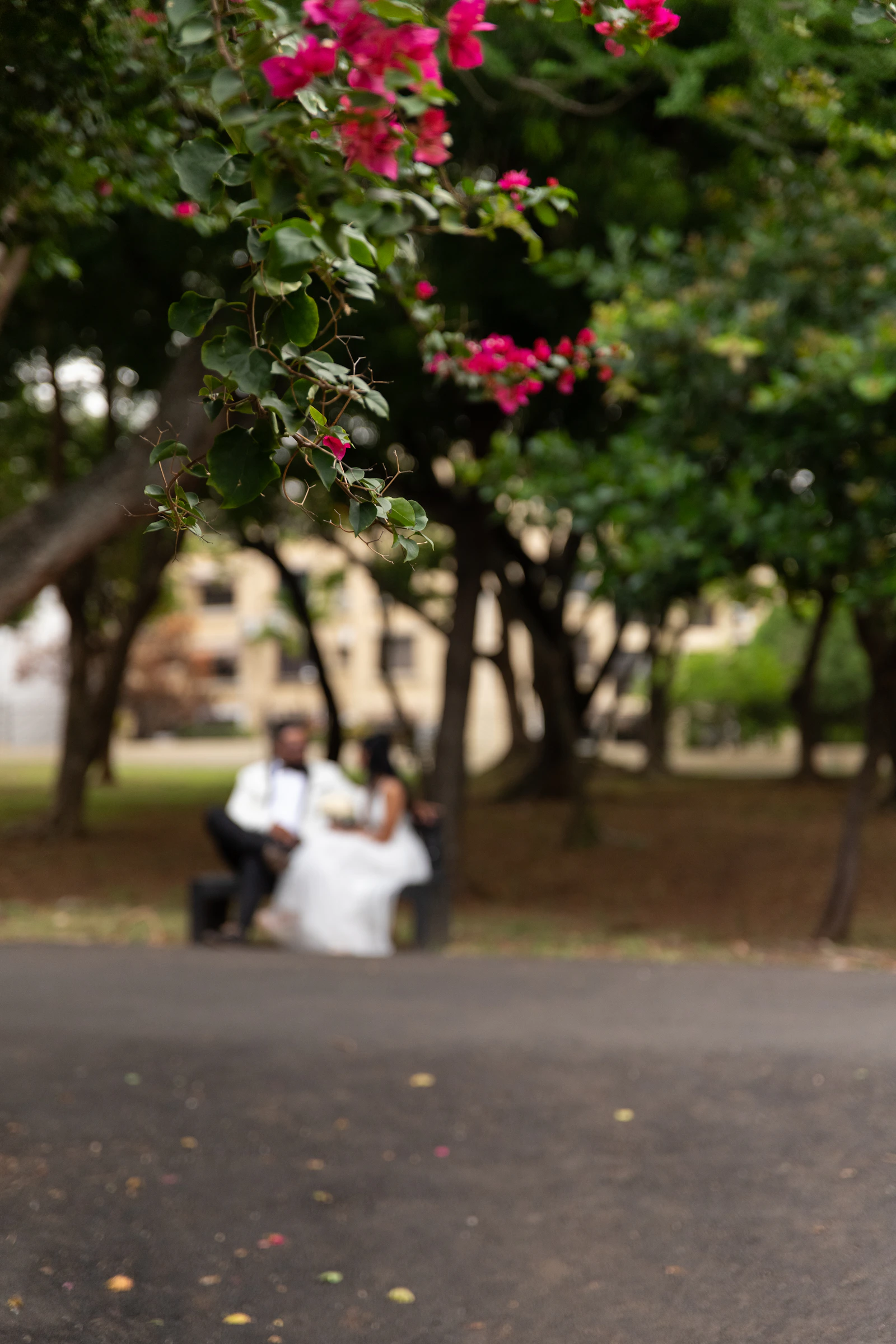 A couple sitting close together on a park bench surrounded by green foliage