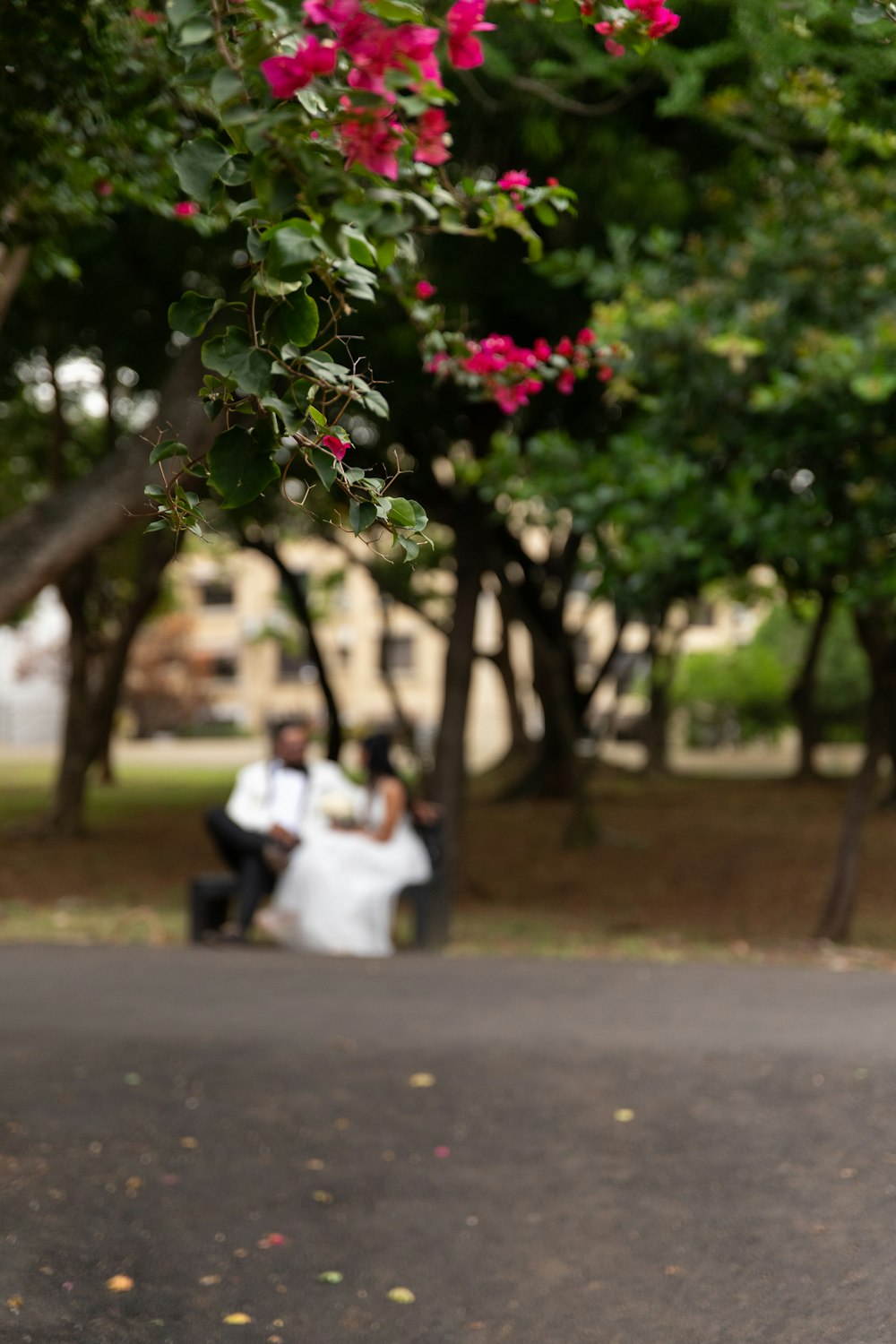 a man and woman sitting on a bench in a park