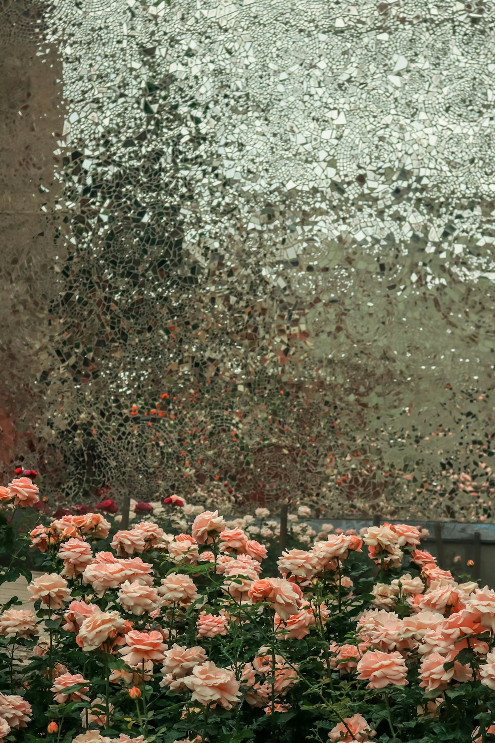 un bouquet de fleurs roses devant un immeuble
