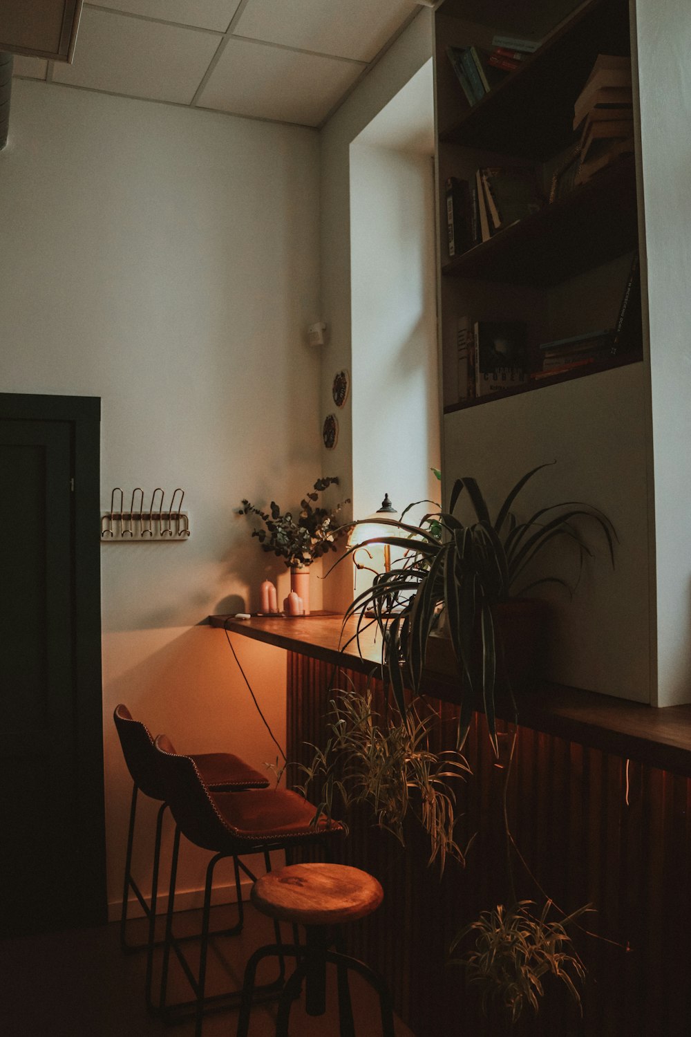 a room with a bar and some plants
