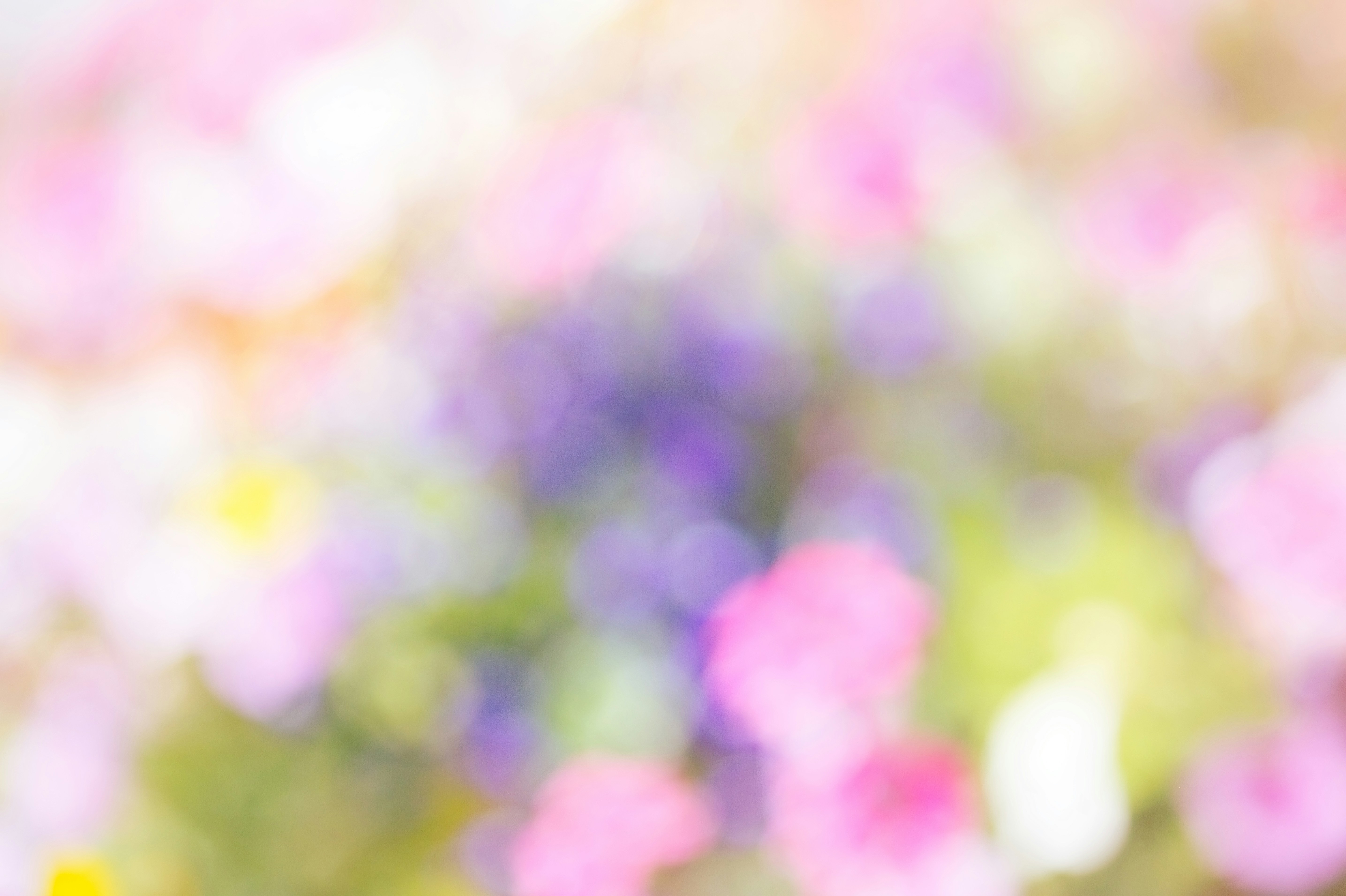 Photo by nataliekinnear