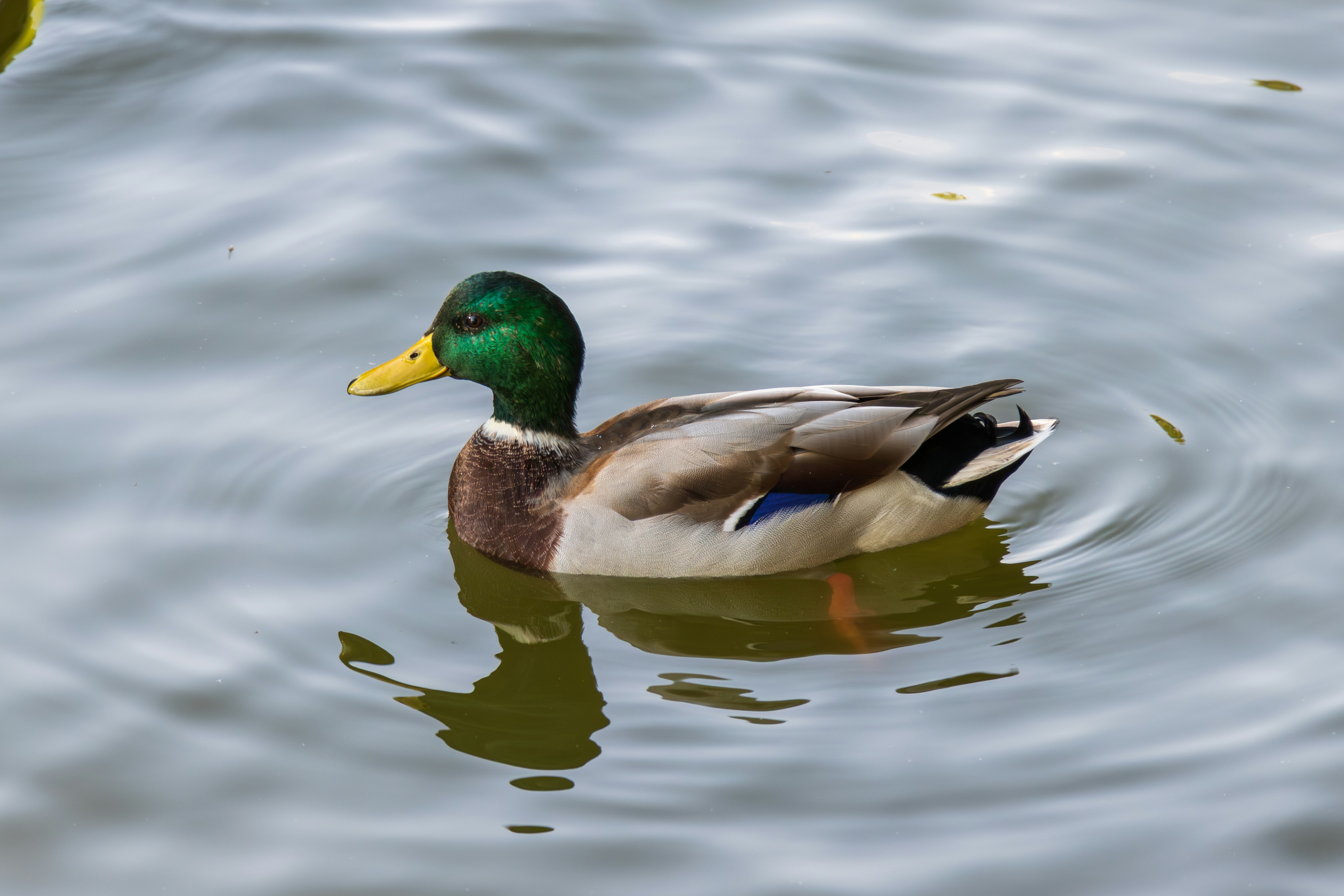 Photo by mechaowlstudios