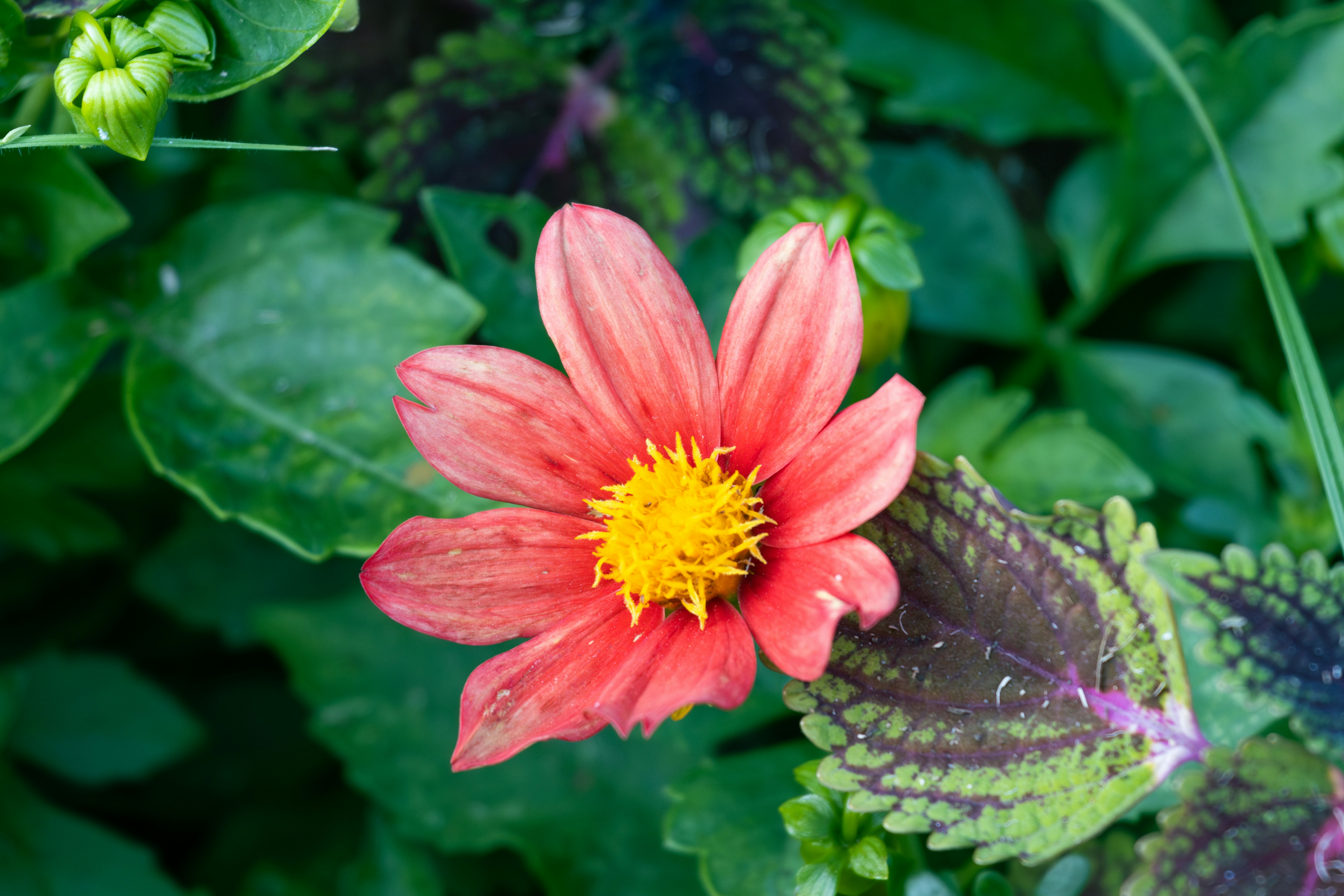 Photo by mechaowlstudios