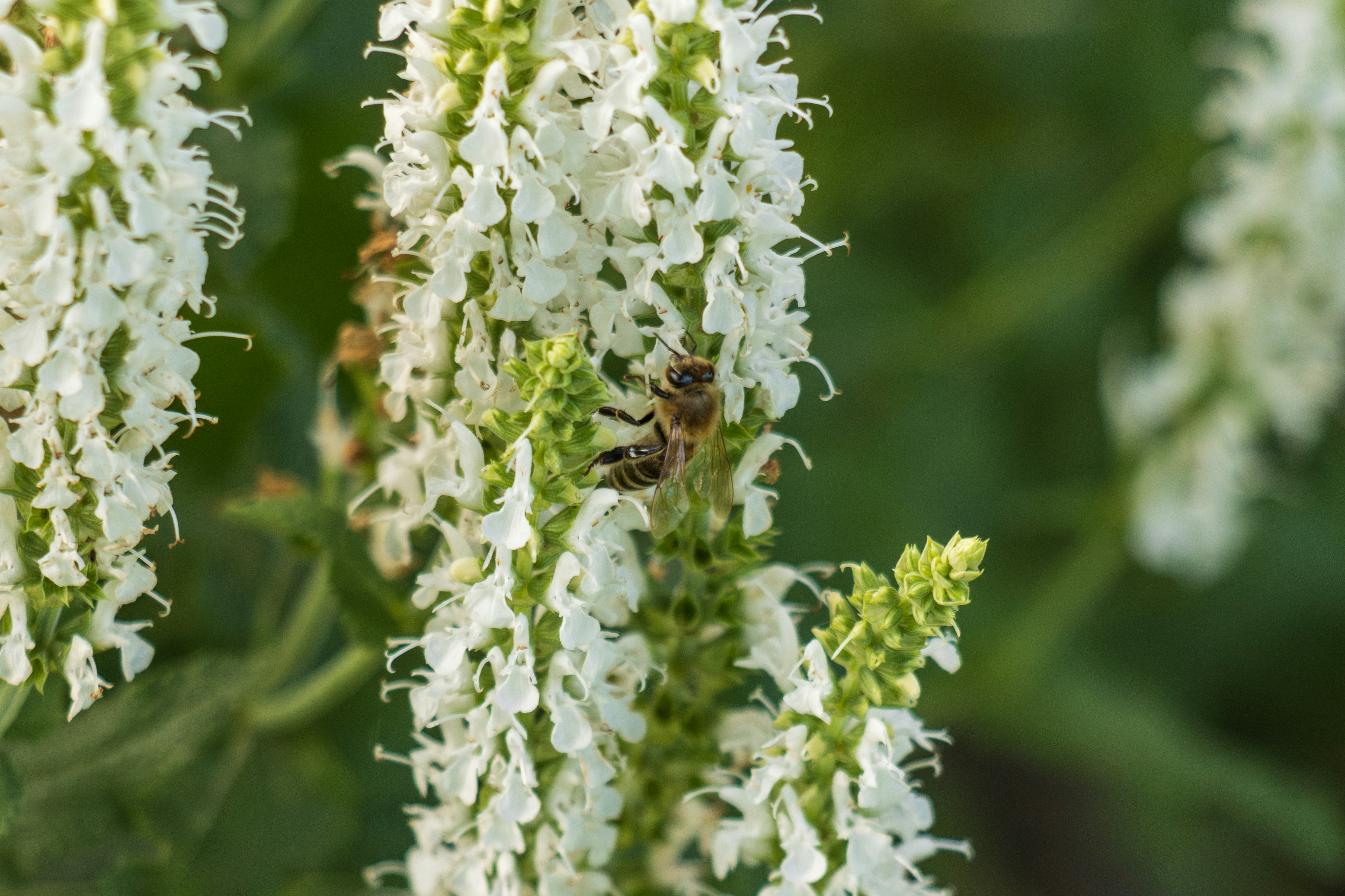 Photo by mechaowlstudios