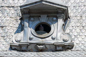 Close-up of pigeon netting installed on a rooftop to prevent bird entry.