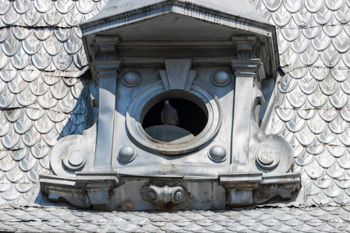 Finished balcony with clean, well-secured pigeon netting blending with the building facade.