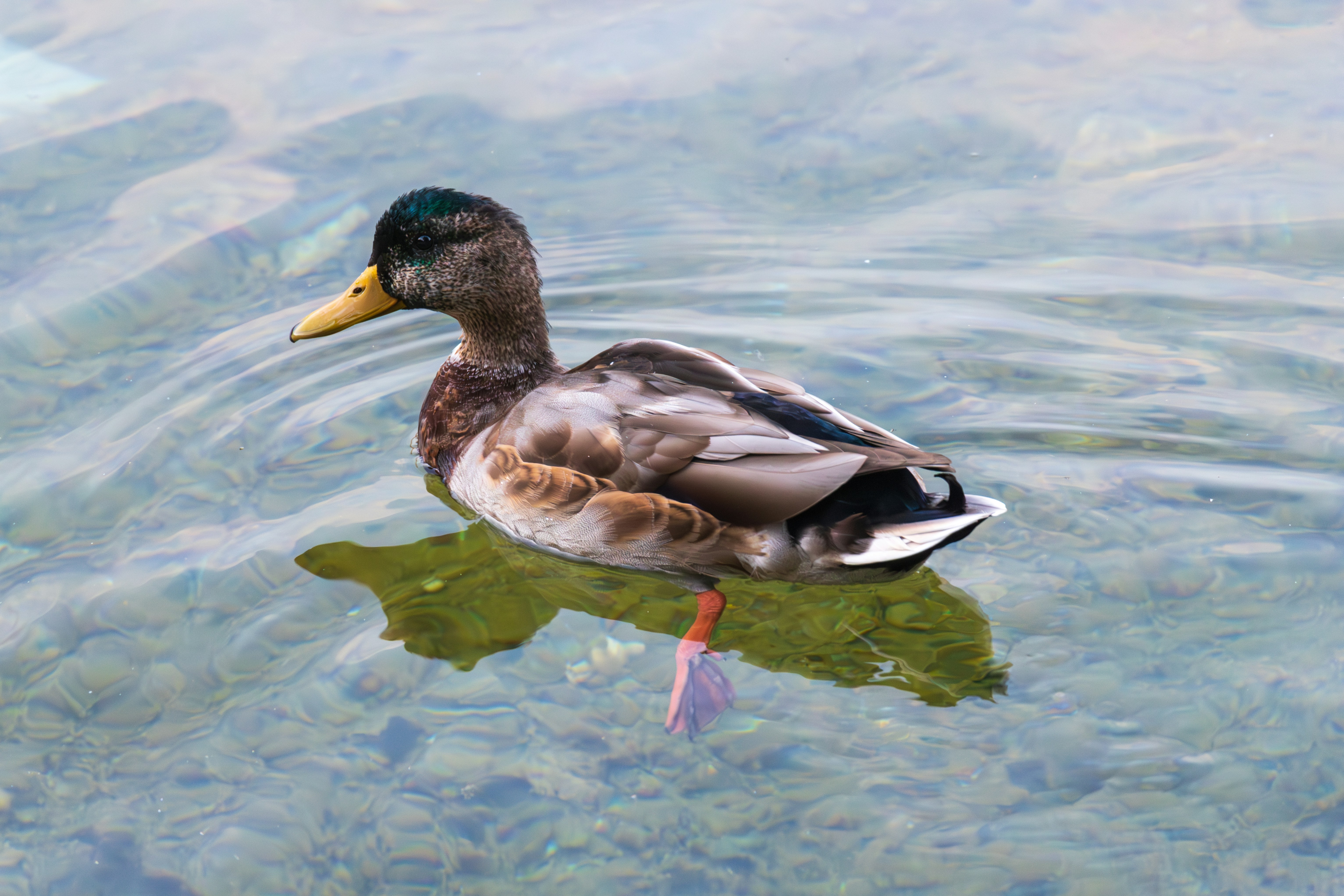 Photo by mechaowlstudios