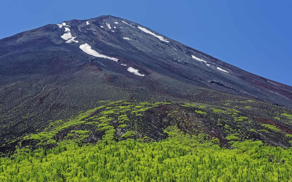 a very tall mountain covered in a lush green forest