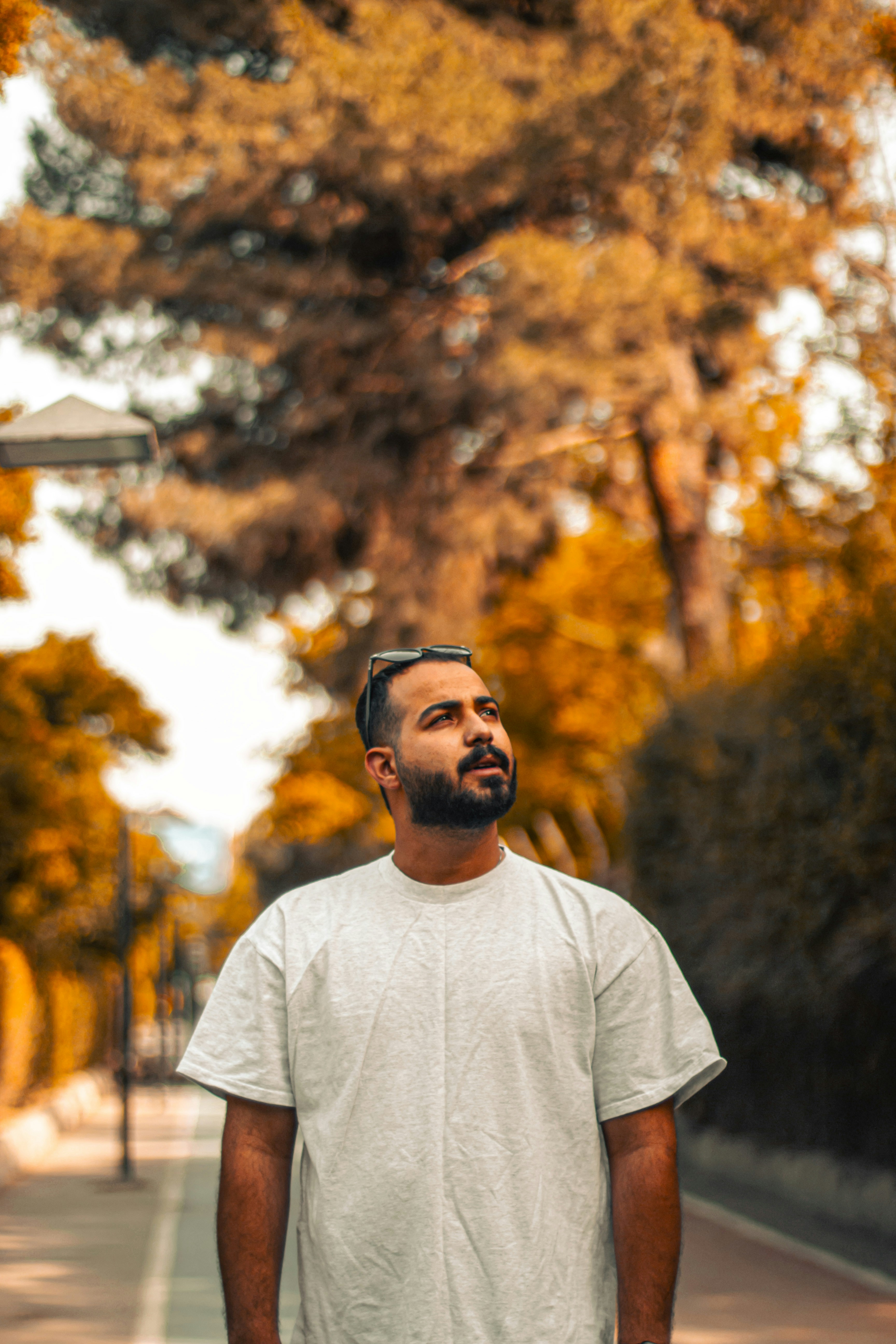 Photo by alihadadikia