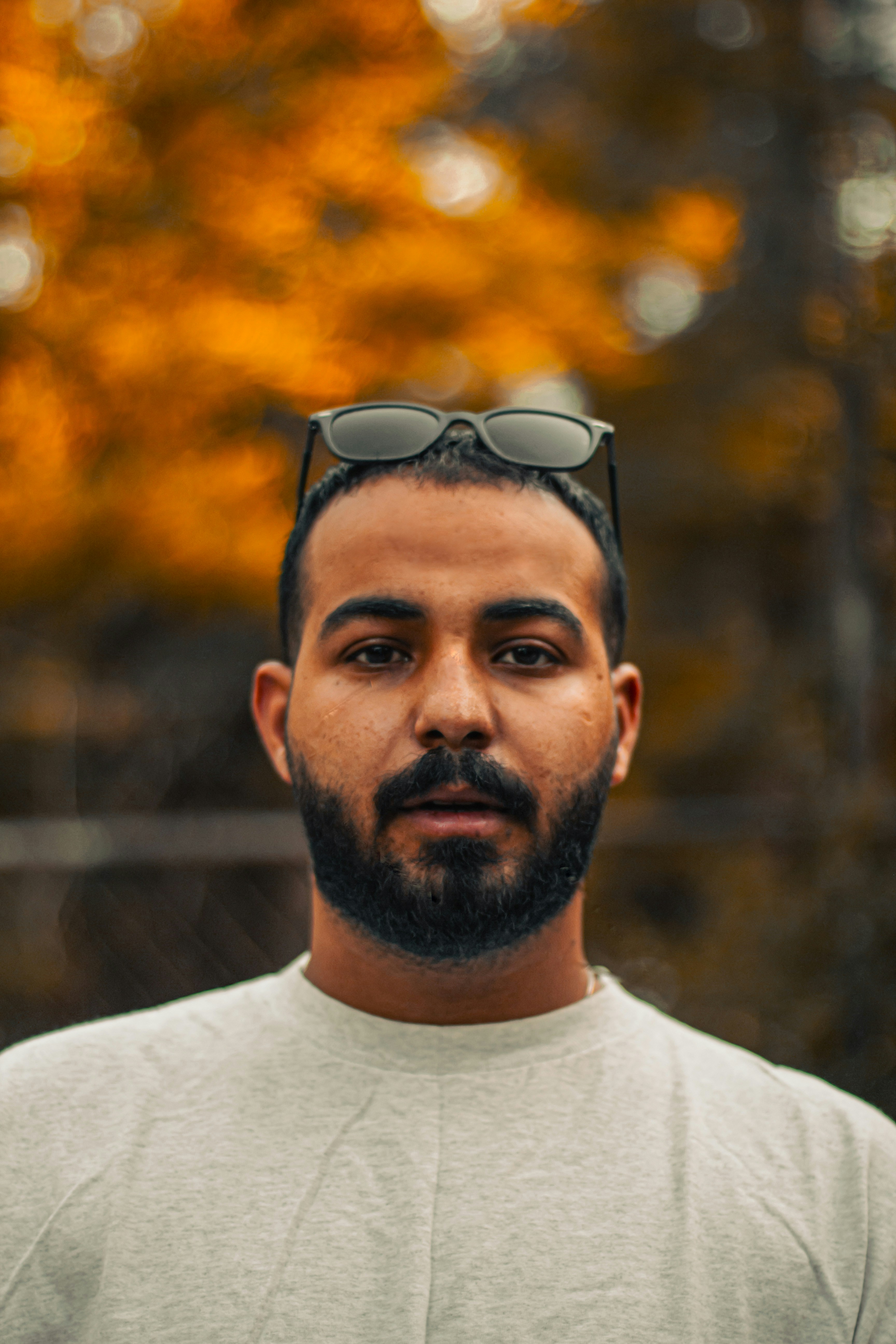 Photo by alihadadikia