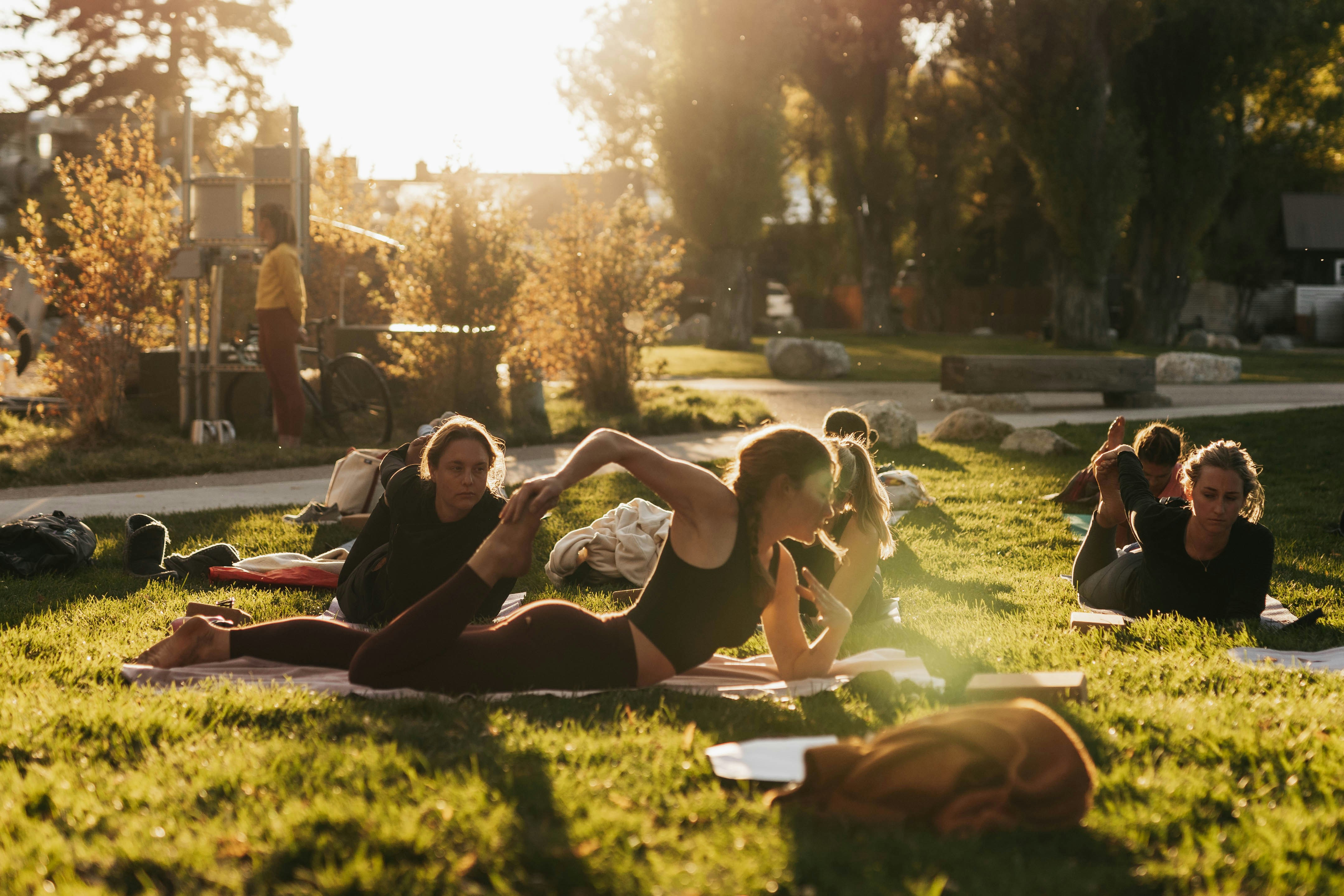 a group of people sitting on top of a lush green field, Embracing inner peace and discovering harmony through the transformative practice of meditation.