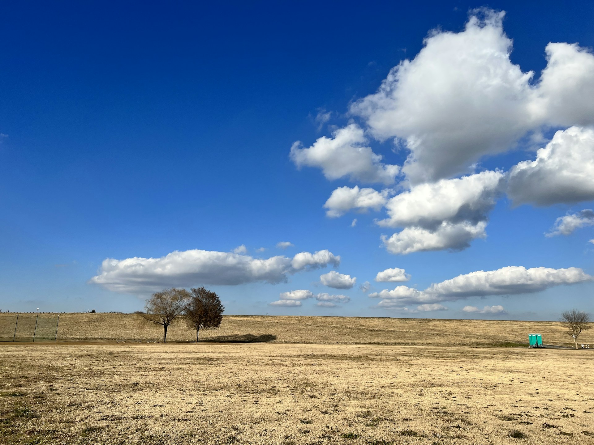 woman wearing yellow long-sleeved dress under white clouds and blue sky during daytime