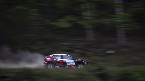 A rally car speeds through a forested area, creating a blur of motion and dust. The car is predominantly black with colorful decals and sponsor logos. The background consists of a mix of green and brown hues, indicating a densely wooded area.
