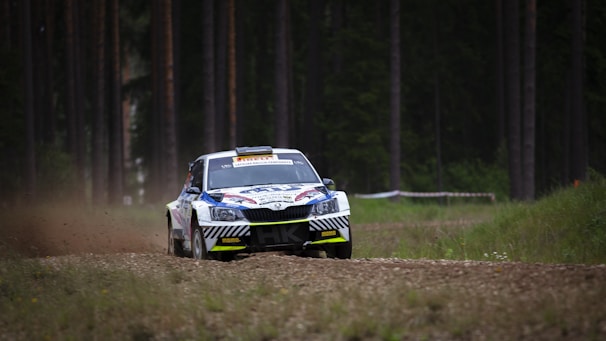 A rally car is speeding on a dirt road surrounded by tall trees in a forest. The car has a sporty design with decals and sponsor logos, and it is kicking up dust as it moves rapidly forward.