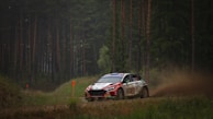 A rally car speeding through a forested trail.