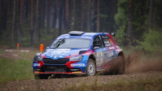 A rally car with colorful sponsorship decals races on a dirt path through a forest. The car's dynamic motion is captured as it kicks up dust and gravel from the road. Tall trees line the background, and the setting suggests a competitive motorsport event.