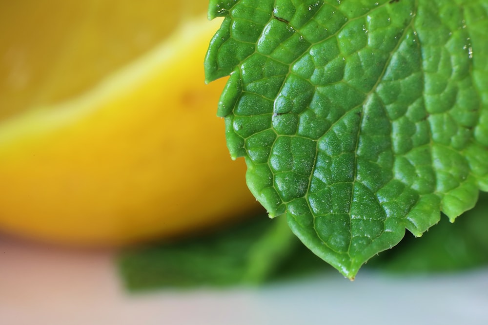 a close up of a green leaf next to a yellow lemon